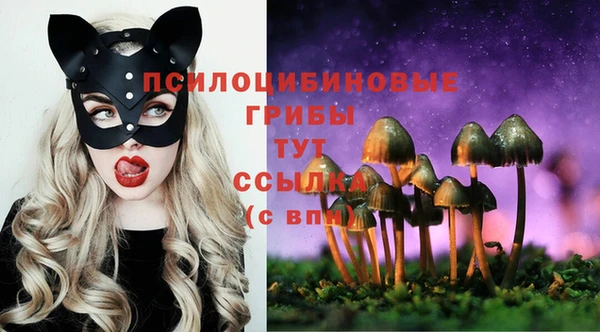 бутират Арсеньев