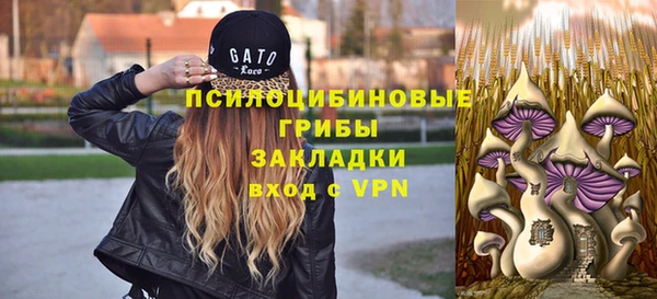 бутират Арсеньев