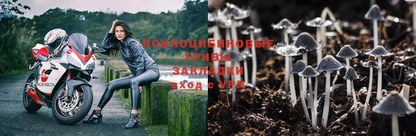 эйфоретик Армянск